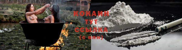 дурь Инта