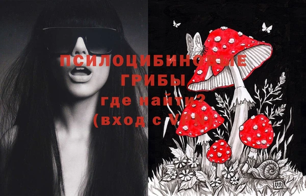 дурь Инта