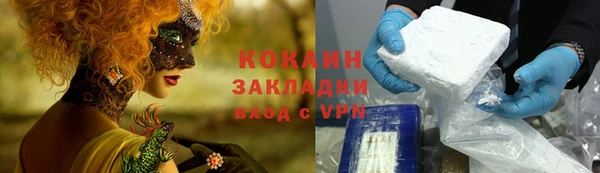 дурь Инта