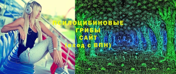 дурь Инта