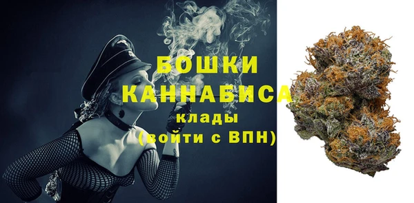 дурь Инта