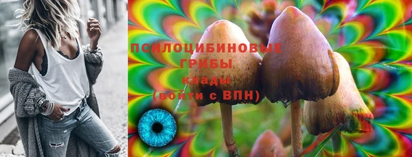 дурь Инта